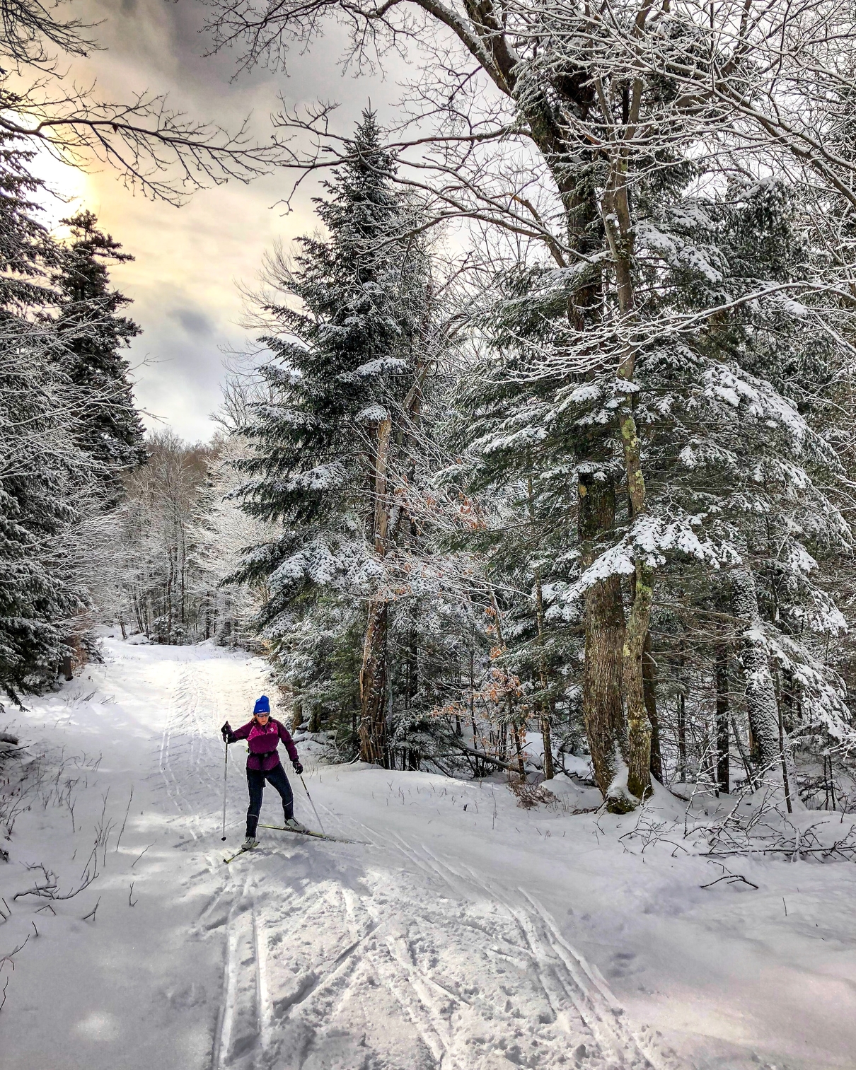 pathways_ski
