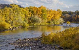 Animas River