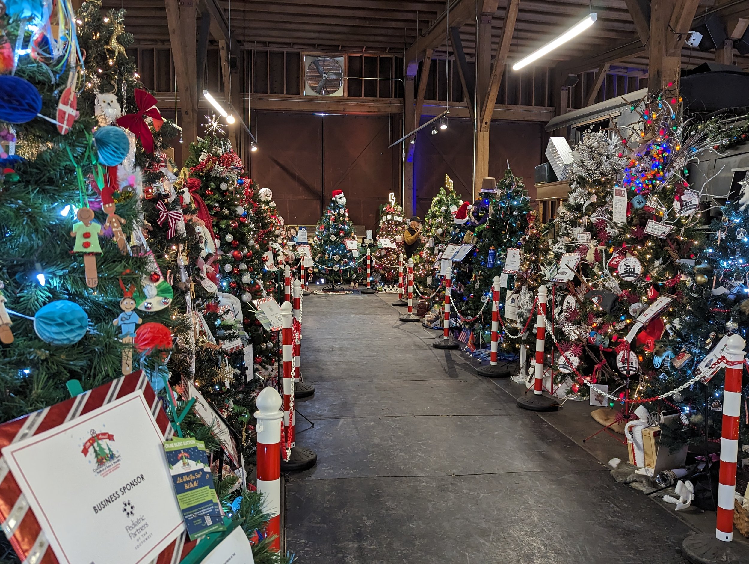 Open space with decorated Christmas trees