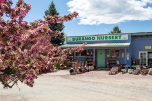 Photography of building with sign reading "Durango Nursery"