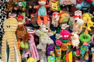 A photo of dog toys hanging on a wall.